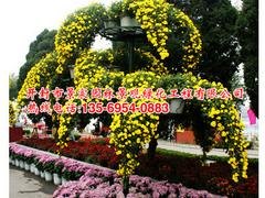 河南专业的菊花立体花坛设计公司：菊花立体花坛哪家