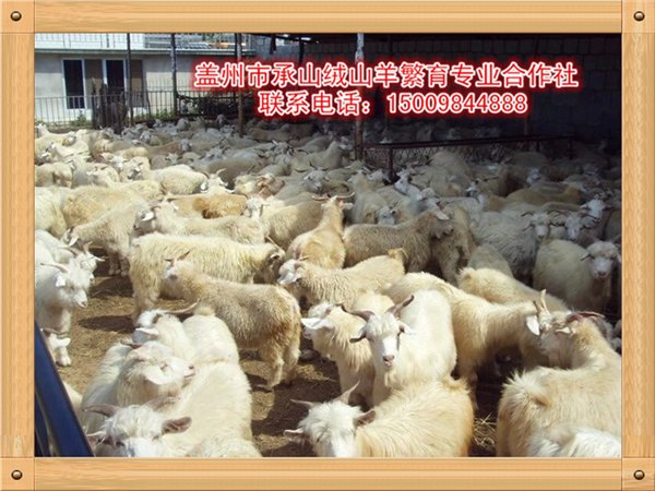国内服务专业的赣州网站建设公司推荐：赣州网站建设