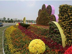 五色草立体花坛设计|专业的五色草立体花坛设计服务