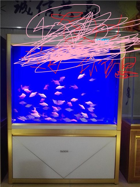 兰州三森水族箱批发，西宁水族箱批发，甘南水族箱批
