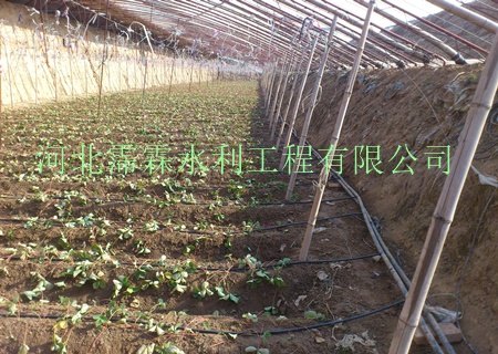 供应安徽亳州市大棚滴灌管设备