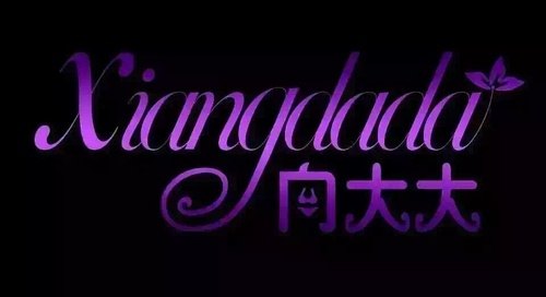 向燕妮向大大内衣品牌加盟要多少钱?投资向大大要多少钱?