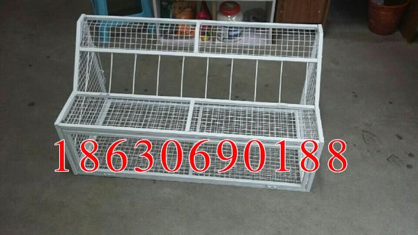 鸽子用具批发/鸽子用具厂家批发