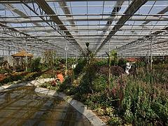 点这里有惊喜！！新型生态餐厅【赞】生态餐厅建造商