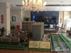 哪里提供热门房地产开发 专注房地产