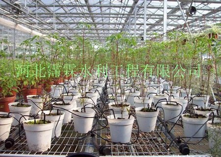 北京大棚花卉滴灌滴箭产品  厂家销售