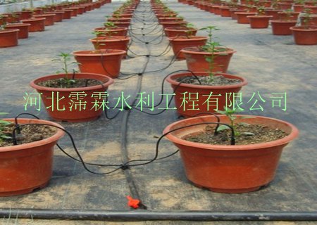 供应|北京|盆栽滴灌|各种滴箭产品