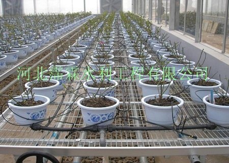 北京地区花卉滴灌_滴箭价格