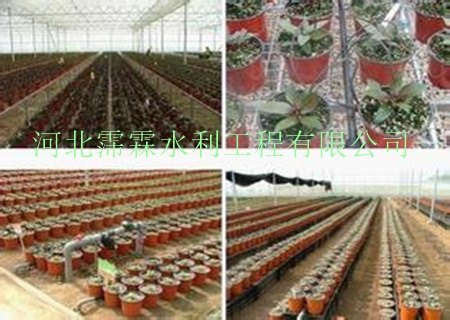 北京花卉盆栽滴箭滴灌技术支持