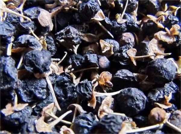 供甘肃精品黑果枸杞和酒泉玉门黑枸杞