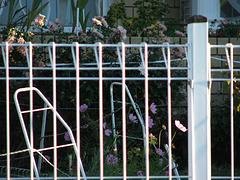 大量供应实惠的园林护栏：厦门市政护栏