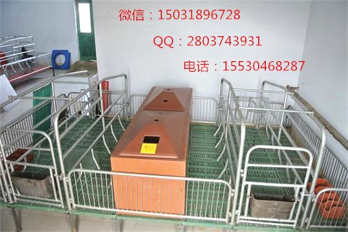 母猪产床价格