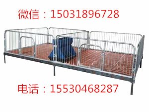 仔猪保育床价格