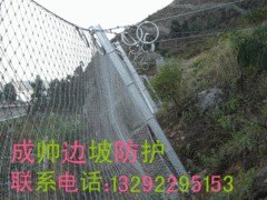 被动防护网专卖店：热销被动防护网【诚挚推荐】