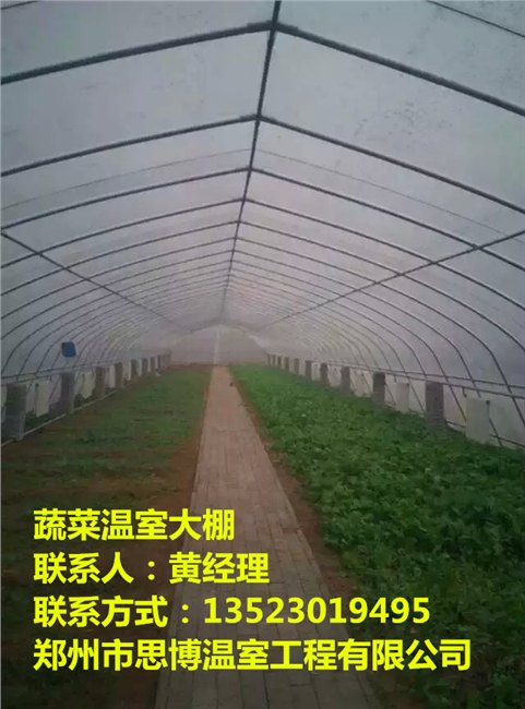 山西简易大棚价格河南简易大棚建造安徽温室大棚报价