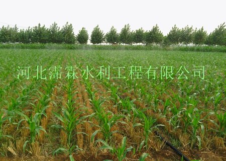 供应沧州市东光县农田灌溉_优质喷灌带