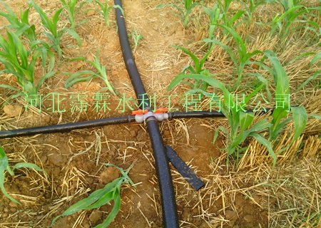 提供沧州市吴桥县地区大田喷灌_喷滴带设备