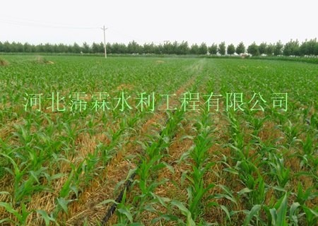 承德市小麦田喷灌设备|微喷带