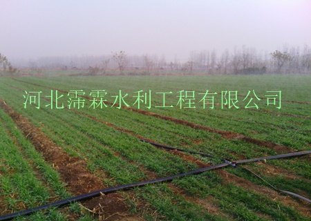 供应承德市地区|小麦微喷带|河北厂家