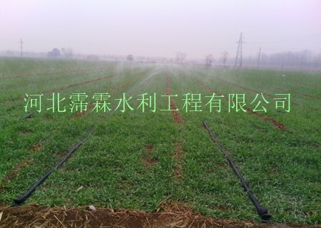 供应承德市高品质微喷带/微灌带/喷滴带