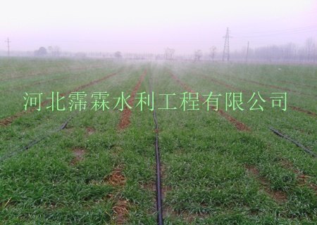 承德市地区微喷带直销|石家庄生产厂家