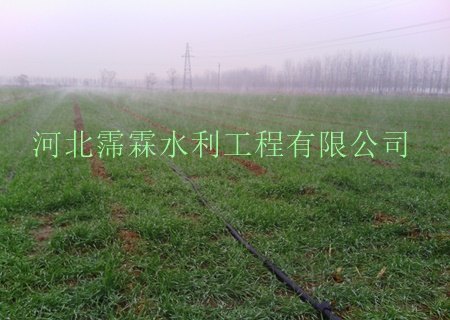 产假直销|供货承德市大田微喷带设备