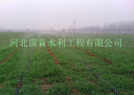 河北大田微喷设备|微喷带|微灌带|喷滴带