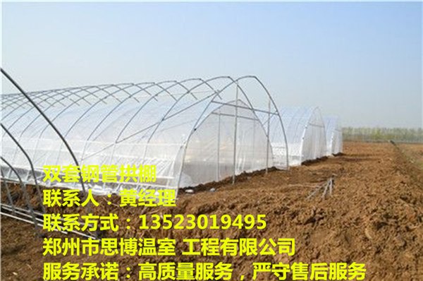 草莓温室大棚造价