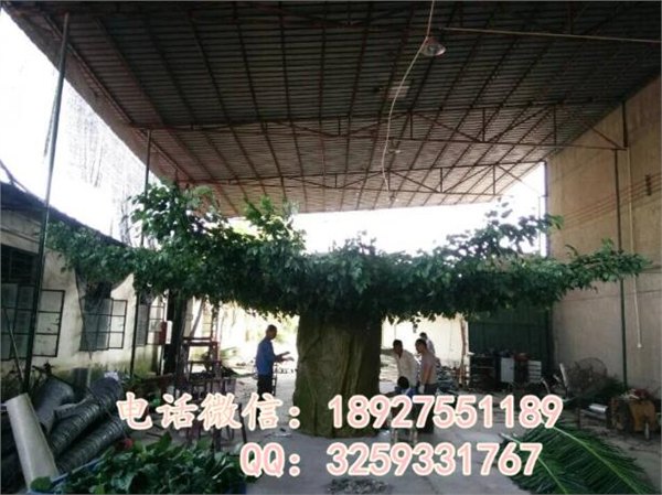 厂家生产仿真榕树、圣缘景观室内仿真榕树订做 室外椰子树