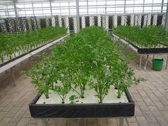 温室配件设备供应商，淄博优质的温室配件设备哪有卖