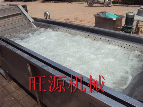 蔬菜清洗机 诸城旺源机械 厂家批发零售