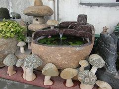 声誉好的自然水景组供应商当属力腾工艺制品——如何