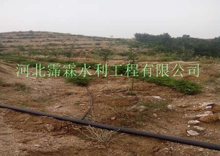 湖北地区果园滴灌设备大全_直销