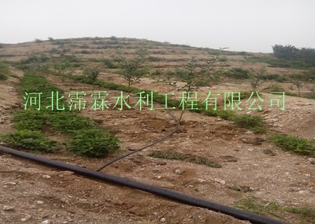 供应荆门市京山县果园滴灌系统/毛管