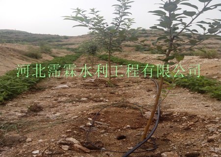 滴灌毛管果树专用_厂家直销|供湖北