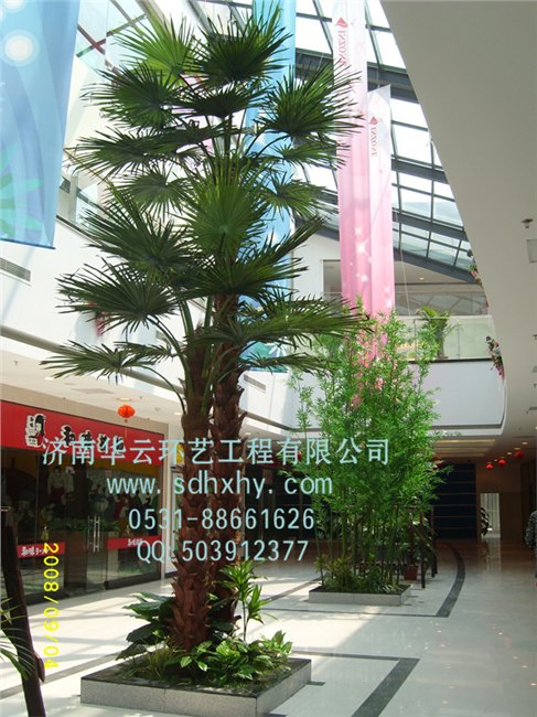 江苏保鲜棕榈树，要买优惠的仿真棕榈树，华云环艺工