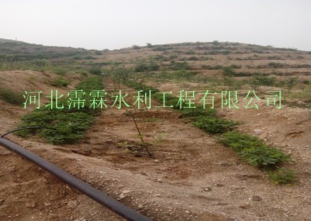 孝感市地区果园灌溉设备的价格|厂家