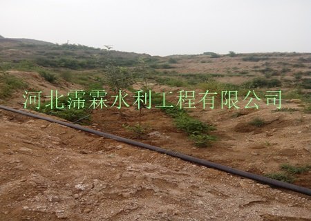 孝感市云梦县果园滴灌--优质滴灌毛管