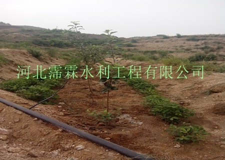 孝感市地区果园滴灌/PE管/滴灌管批发