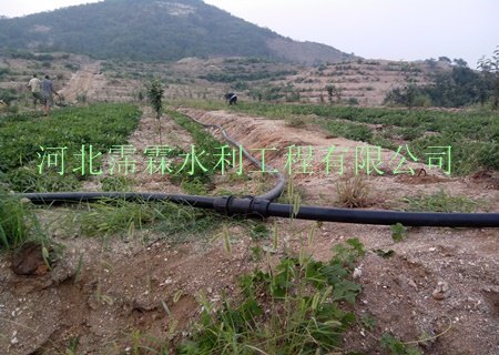 黄冈市果园灌溉设备批发/采购