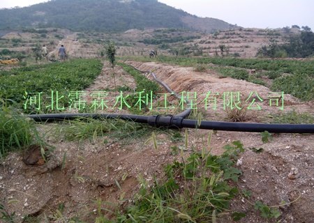 供黄冈市地区采购果园灌溉设备/厂家直销