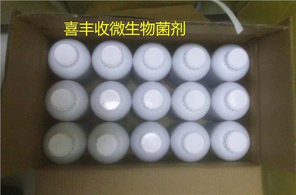 热销复合微生物菌（高浓缩型）品质如金，值得信赖！