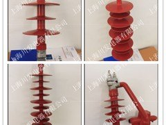 买具有口碑的复合10KV针式绝缘子，就选川发电力