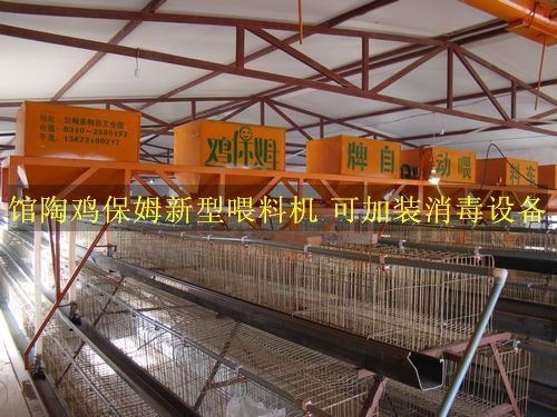 山东自动喂料机规格，河南实惠的自动喂料机型号 鸡