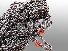 专业的环形链条索具供应商_江苏东方力神吊装设备—