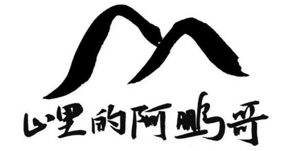 山里的阿鹏哥山产品山货微商沙棘中药材招代理分销