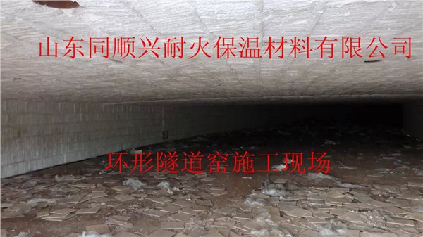 供应烧结炉耐火棉保温1260型陶瓷纤维模块