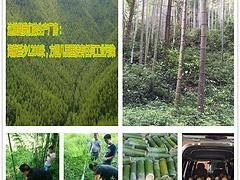 醉竹贸易-有知名度的白酒批发商，竹筒酒值得信赖