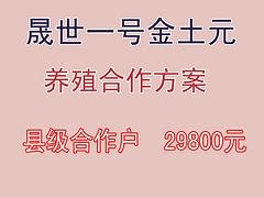 洛阳专业的土元养殖合作公司是哪家，一流的土元