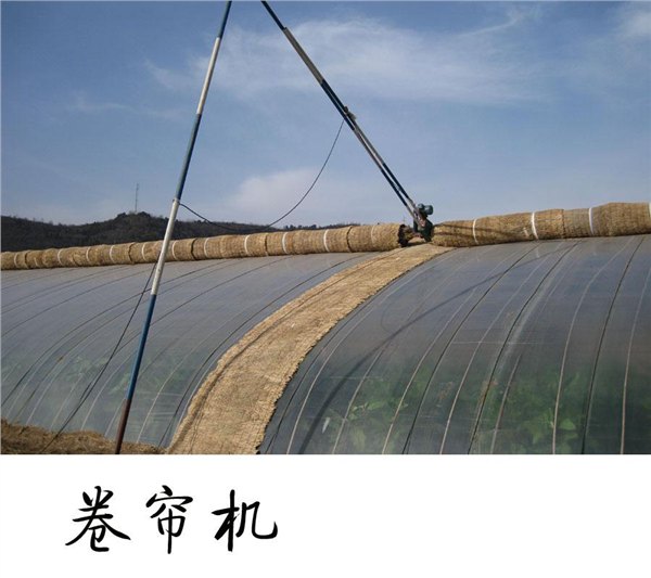 优质蔬菜大棚卷帘机供应商